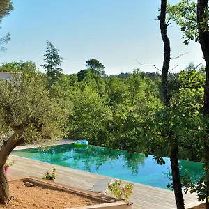 Couette-café Sous Les Oliviers - Jacuzzi - Charming, Saint-Maximin