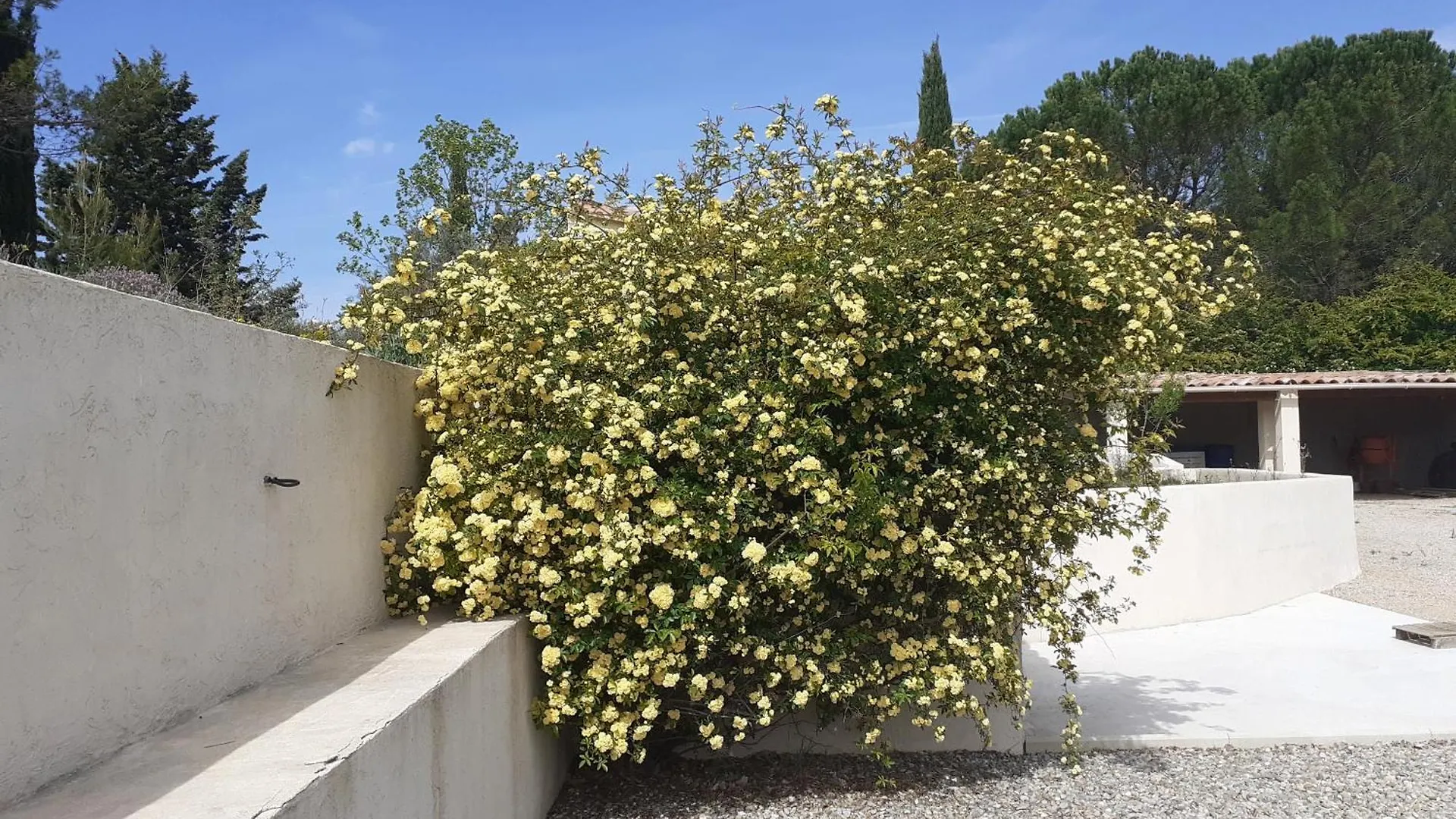 Chambres D'Hotes, B&B Climatisees La Borrellienne Saint-Maximin-la-Sainte-Baume France